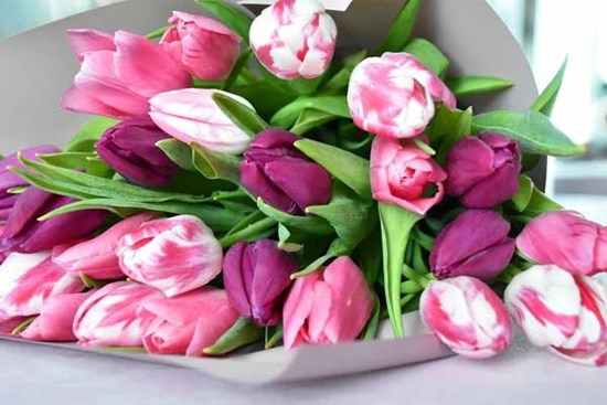 Cuối tháng 7, 3 con giáp hưởng trọn lộc trời, rủng rỉnh tiền bạc