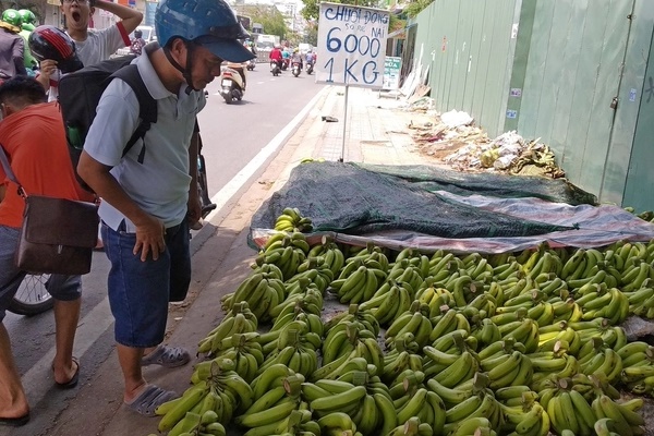 Loại quả rẻ tiền sẵn đầy ngoài chợ có thể chống lại kẻ giết người lớn nhất thế giới-1