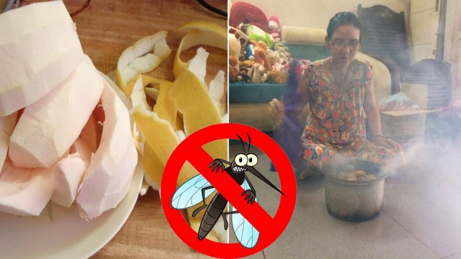 Trời nắng nhớ để vài đồng xu ra ban công: Đọc xong sẽ vỡ òa vì công dụng bất ngờ-2