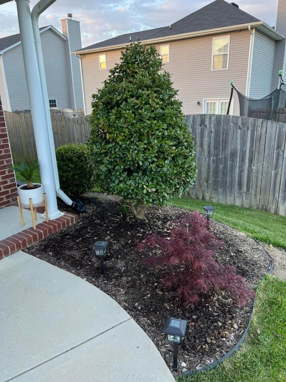 Không gian nhà của chồng Trang Trần tại Mỹ-10