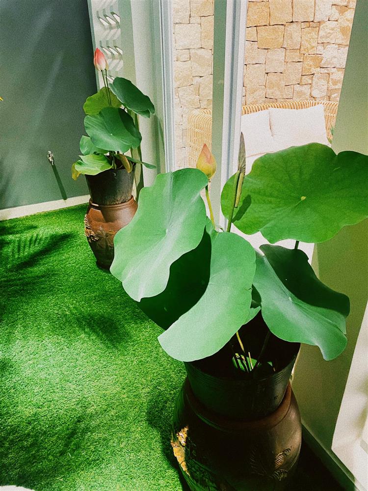 Cặp vợ chồng ở TP. HCM mua đứt căn nhà đầu tiên trị giá hơn 10 tỷ ở tuổi 26-26