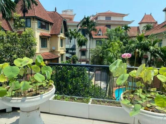 Khu vườn rau sạch xanh mướt mắt cùng trái cây sai lúc lỉu trong biệt thự của Hoa hậu Nguyễn Thị Huyền-11