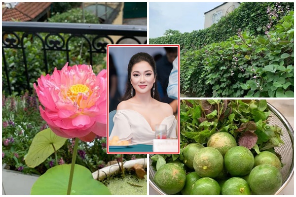 Khám phá nội thất bên trong căn hộ tiền tỉ của nhạc sĩ Nguyễn Văn Chung-16