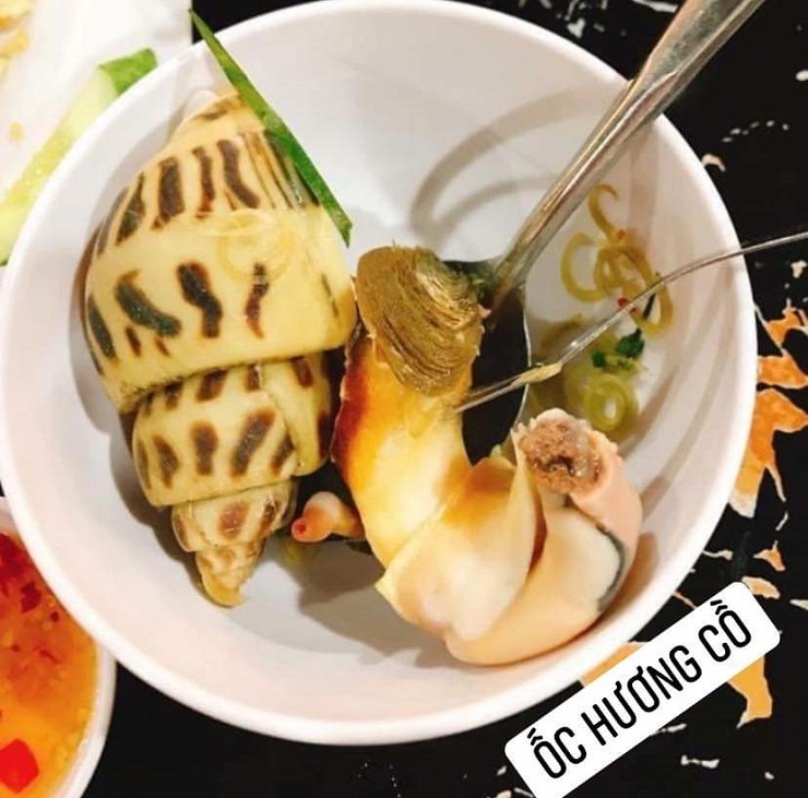 Ốc hương khổng lồ có giá lên tới cả triệu đồng/kg vẫn không có hàng để bán-4