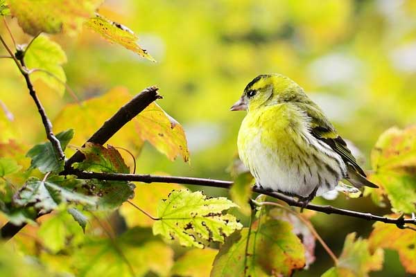 Ngọc Hoàng mở sổ phát lương: 4 tuổi giàu có nhất nửa cuối 2022, Tiền - Tình đều đỏ như son-5