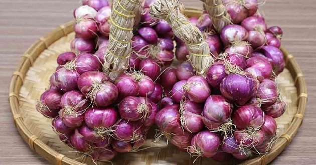 Cách bảo quản hành, tỏi, gừng, khoai tây cả năm không nảy mầm, vẫn tươi ngon-1