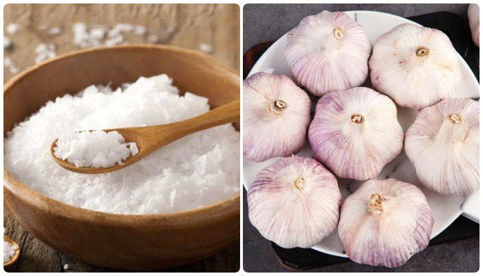 Cách bảo quản hành, tỏi, gừng, khoai tây cả năm không nảy mầm, vẫn tươi ngon-2