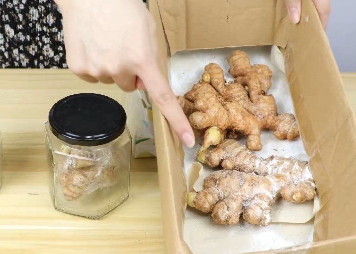 Cách bảo quản hành, tỏi, gừng, khoai tây cả năm không nảy mầm, vẫn tươi ngon-3