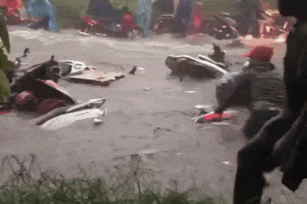 Phát hiện thi thể nam giới quấn chăn và dây trên đồi Cao ở Hải Phòng-2