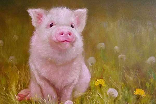 Vết lõm độc lạ trên bàn tay báo hiệu hồng phúc tràn đầy, hậu vận hưởng trọn vinh hoa phú quý-4