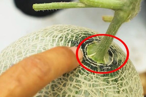 10 lần xào mướp 9 lần thâm đen: Học đầu bếp làm thêm bước này mướp xanh mướt, ít ra nước-6