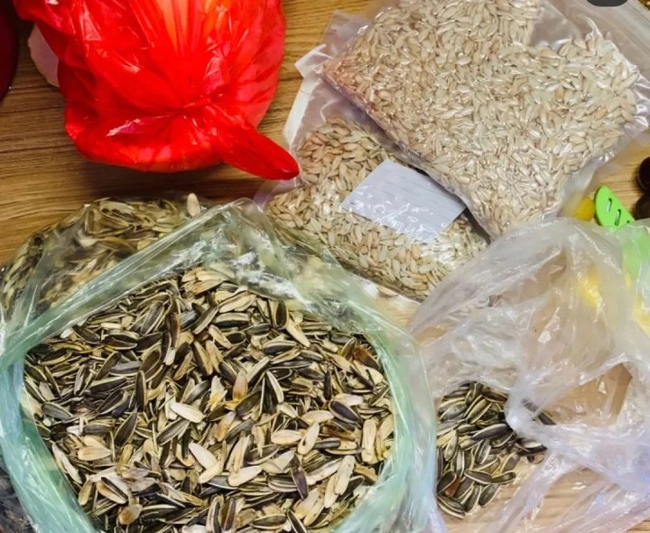 Cảnh chàng trai quỳ tỏ tình, ép cô gái đồng ý làm người yêu gây bức xúc: Hy sinh vì tình yêu hay chỉ để thỏa mãn chính mình?-5