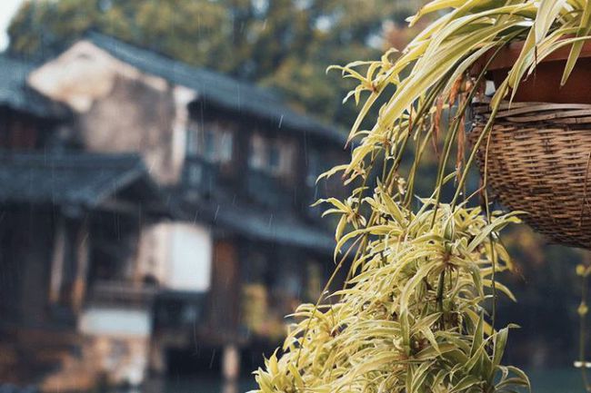 Thuật nhìn người: Hãy kết thân với người thích nấu ăn vì họ sở hữu 4 PHẨM CHẤT cao quý này-7