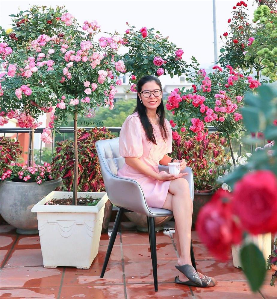 Đầm sen trên ban công đẹp nức lòng với gần 20 loại giống của chủ trang trại hoa nổi tiếng ở Hà Nội-1