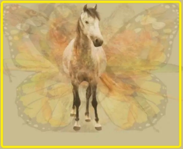 Bài test tính cách chính xác 99,99%: Bạn nhìn thấy con gì đầu tiên trong bức tranh?-2