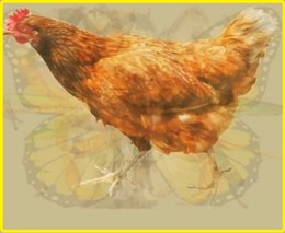 Bài test tính cách chính xác 99,99%: Bạn nhìn thấy con gì đầu tiên trong bức tranh?-3