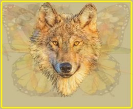 Bài test tính cách chính xác 99,99%: Bạn nhìn thấy con gì đầu tiên trong bức tranh?-6