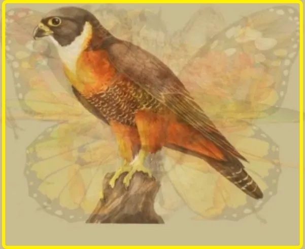 Bài test tính cách chính xác 99,99%: Bạn nhìn thấy con gì đầu tiên trong bức tranh?-8