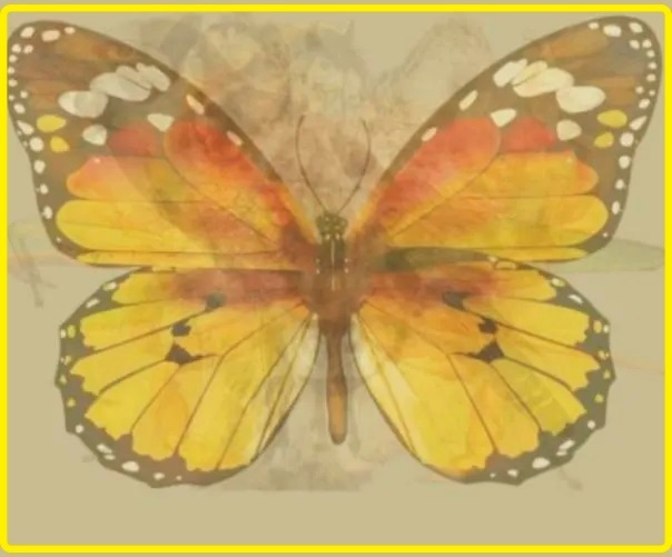 Bài test tính cách chính xác 99,99%: Bạn nhìn thấy con gì đầu tiên trong bức tranh?-9