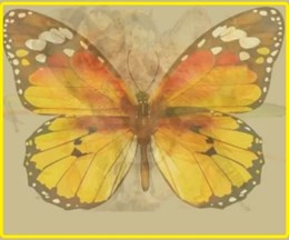 Bài test tính cách chính xác 99,99%: Bạn nhìn thấy con gì đầu tiên trong bức tranh?-9