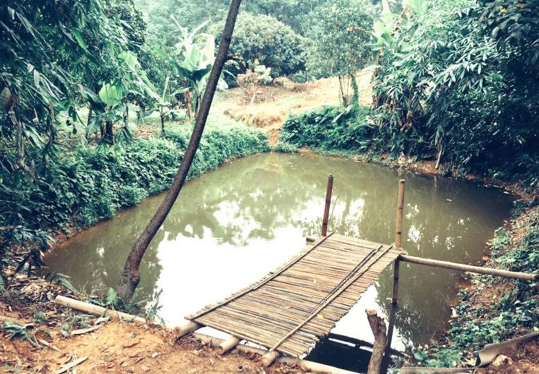 Tổ tiên căn dặn 2 đại kỵ: Trước nhà không có ao, sau nhà không cửa sổ, không nên làm trái-2