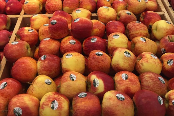 Quá lạ với trái cây Trung Quốc đắt đỏ, dân Việt vẫn ‘xếp hàng’ mua-3