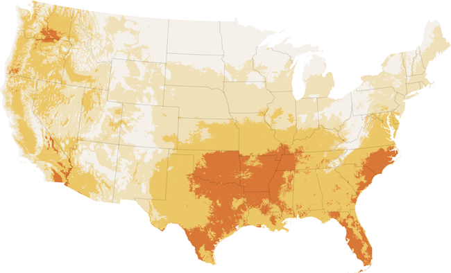 Người nghèo khó ở Mỹ chật vật giữa cái nóng khắc nghiệt-2