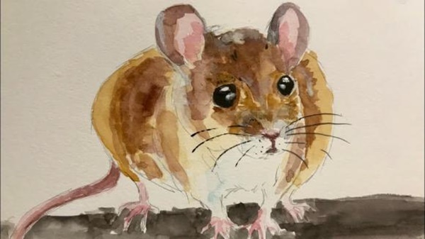 Nửa đầu tháng 8 dương lịch, top 3 con giáp ôm trọn bạc vàng, gặp nhiều may mắn, tình tiền đỏ thắm, vận trình hanh thông-3