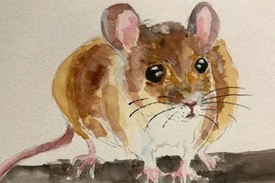 Nửa đầu tháng 8 dương lịch, top 3 con giáp ôm trọn bạc vàng, gặp nhiều may mắn, tình tiền đỏ thắm, vận trình hanh thông