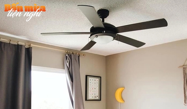 Should you use a pedestal fan or a ceiling fan for the summer? One detail will decide the right choice-1