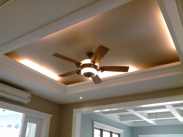 Should you use a pedestal fan or a ceiling fan for the summer? One detail will decide the right choice-3