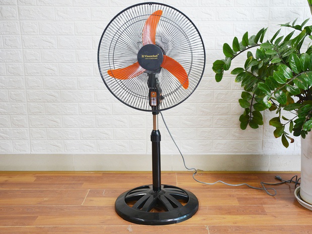 Should you use a pedestal fan or a ceiling fan for the summer? One detail will decide the right choice-4