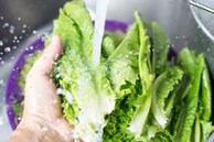 Ngâm rau với nước muối cho sạch hóa chất là sai: Đây mới là cách làm đúng để rau sạch, hết hóa chất