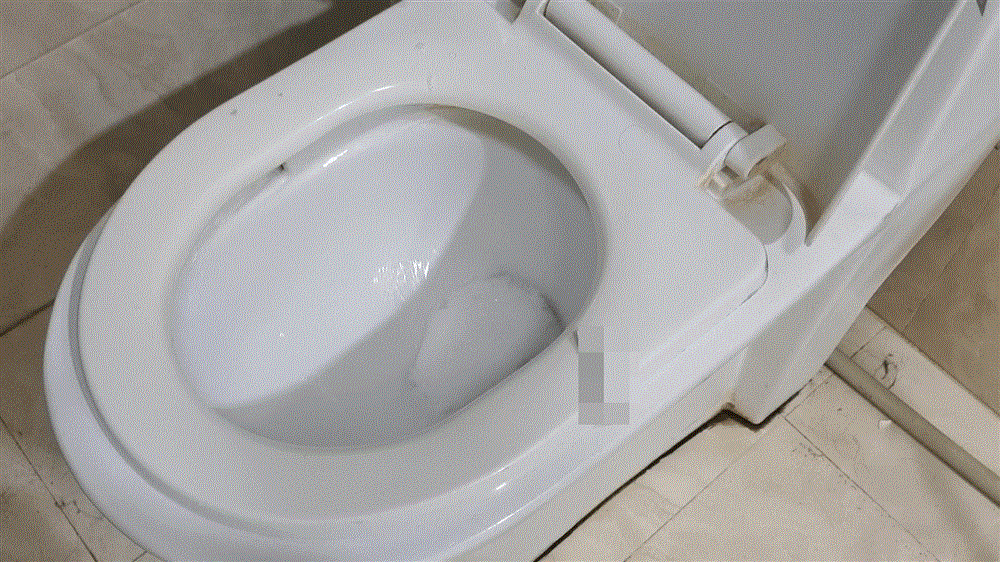 Có cần đậy nắp bồn cầu khi không sử dụng không? Chắc chắn nhiều người đã làm sai mà không biết-6