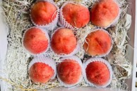 Quá lạ với trái cây Trung Quốc đắt đỏ, dân Việt vẫn ‘xếp hàng’ mua