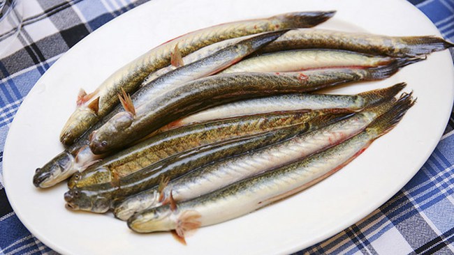 Cá kèo - Món quà quý của sông nước miền Tây, làm món gì cũng đi vào lòng người!-1