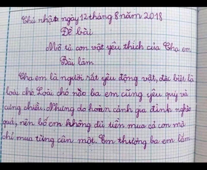 Bài văn dài đúng 4 câu khiến bố cạn lời, mẹ mát lòng mát dạ-3