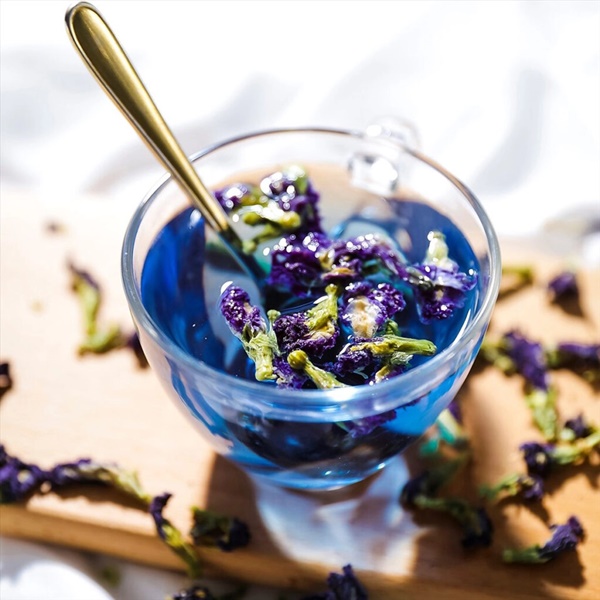 3 nhóm người không nên uống trà hoa đậu biếc để làm đẹp hay chăm sóc sức khỏe-1