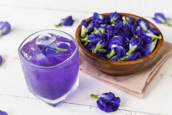 3 nhóm người không nên uống trà hoa đậu biếc để làm đẹp hay chăm sóc sức khỏe-2