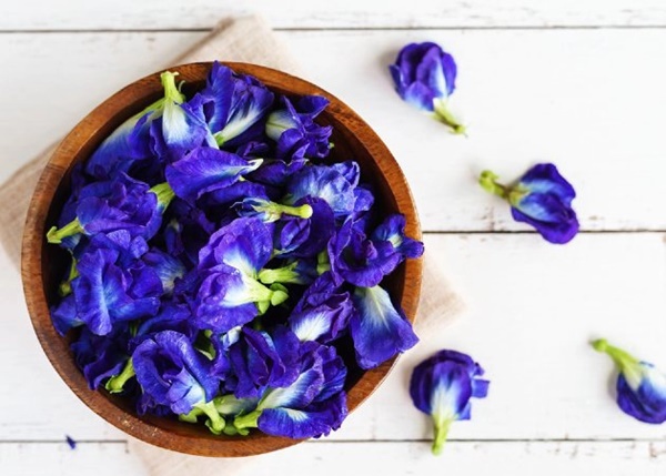 3 nhóm người không nên uống trà hoa đậu biếc để làm đẹp hay chăm sóc sức khỏe-3