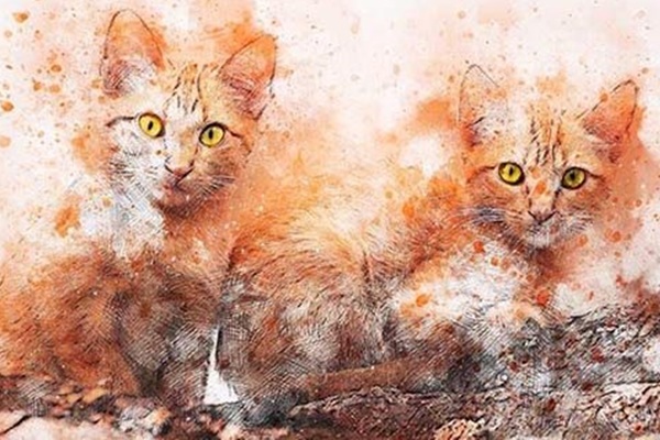 Sau lễ Vu Lan - Rằm tháng 7 âm, Phật bà độ mệnh, 4 con giáp vượt khó, hưởng trọn lộc trời-5