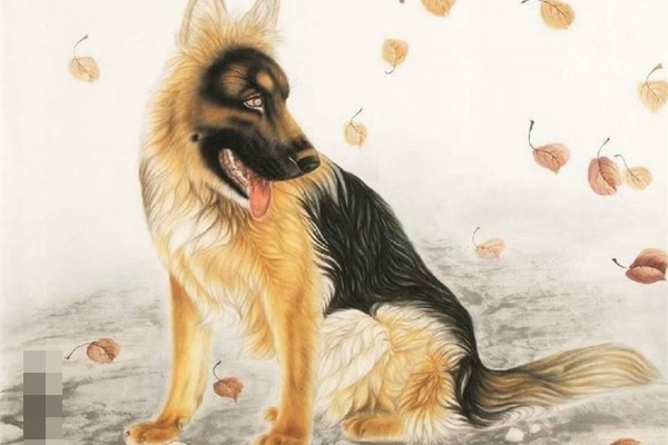 Sau lễ Vu Lan - Rằm tháng 7 âm, Phật bà độ mệnh, 4 con giáp vượt khó, hưởng trọn lộc trời-4