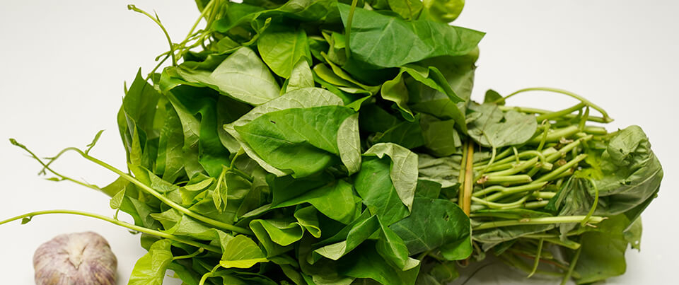 Thứ rau rẻ tiền ngoài chợ, ăn kiểu gì cũng ngon và mát, nhưng chẳng mấy ai biết nó thải độc, thanh lọc cơ thể-1