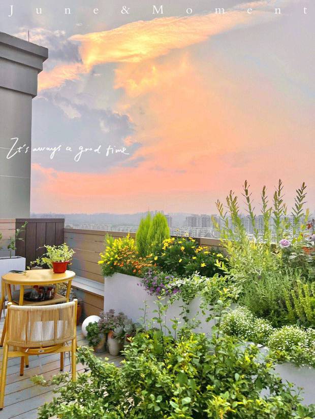 Bất chấp lời khuyên từ bạn bè, cô gái độc thân chốt đơn” căn hộ ở tầng thượng với khu vườn đẹp như mơ-1