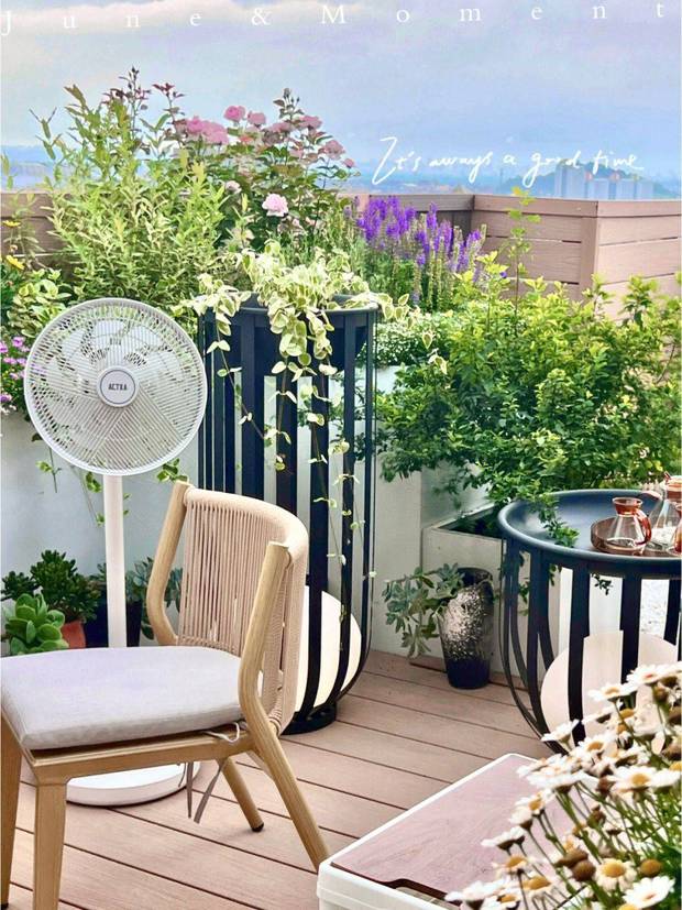 Bất chấp lời khuyên từ bạn bè, cô gái độc thân chốt đơn” căn hộ ở tầng thượng với khu vườn đẹp như mơ-11