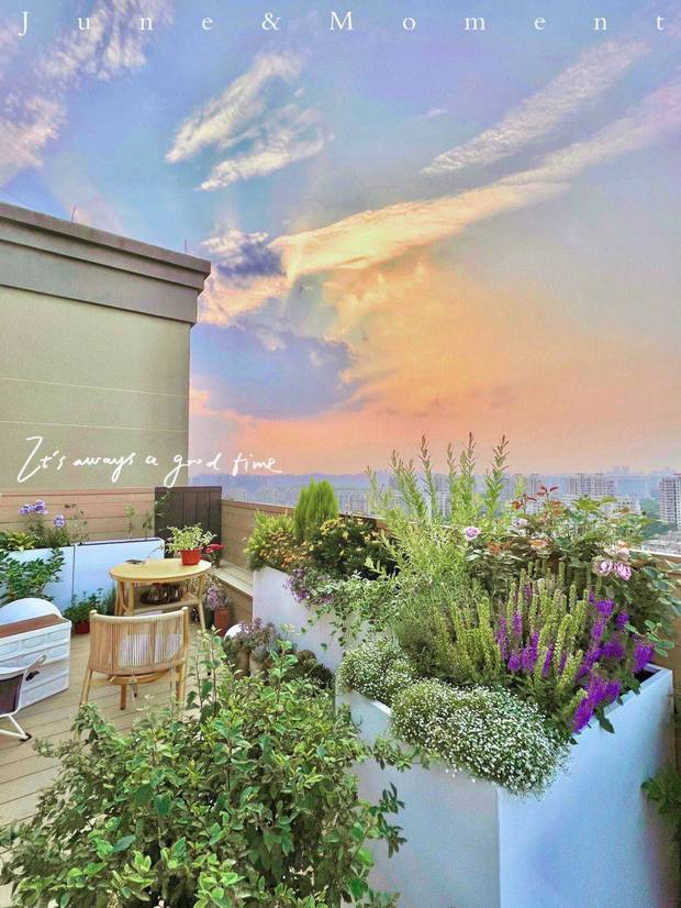 Bất chấp lời khuyên từ bạn bè, cô gái độc thân chốt đơn” căn hộ ở tầng thượng với khu vườn đẹp như mơ-13