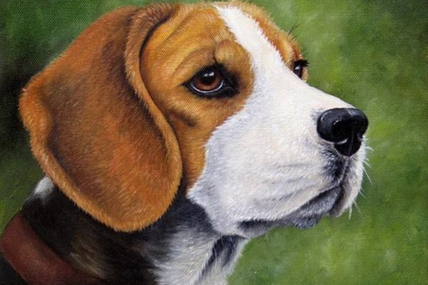 Ngọc Hoàng mở sổ phát lương: 4 tuổi giàu nhất tháng 8 dương, Phúc Tinh nâng đỡ Tiền - Tài - Danh chạm nóc-5