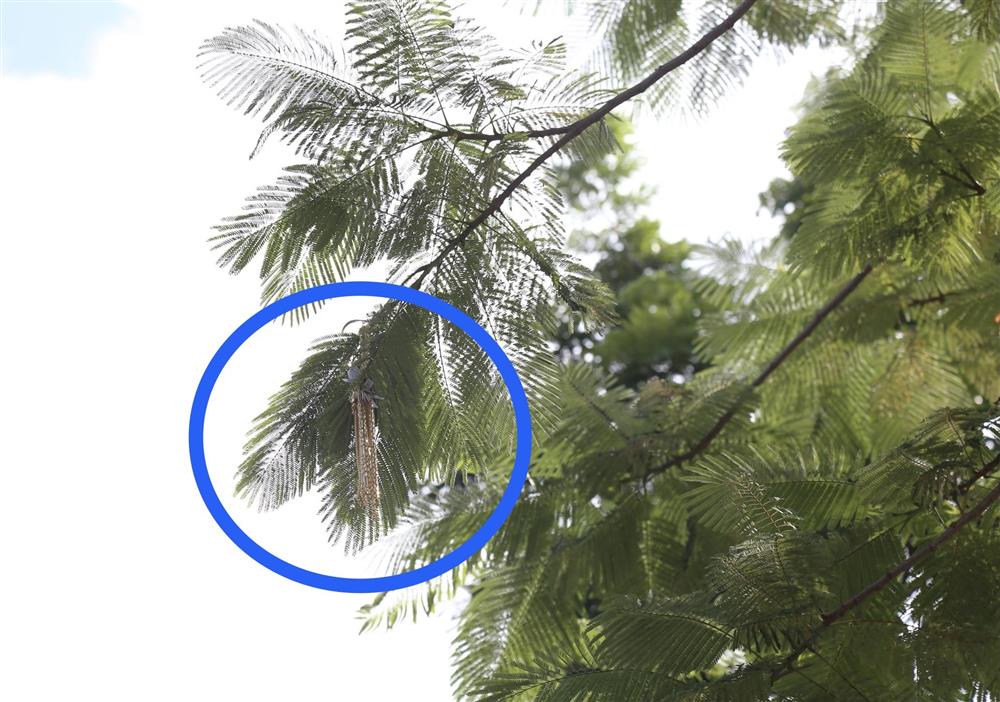 Phút đối diện của nhân viên tiệm vàng với kẻ cướp mang súng AK ở Huế-5