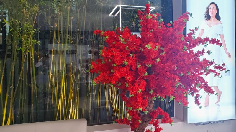 Mê mẩn cơ ngơi hoành tráng của danh hài Việt Hương bên Mỹ-10