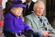 Hoàng gia Anh bất ngờ dính bê bối, quỹ từ thiện của Thái tử Charles nhận tiền của anh em Bin Laden